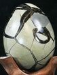 Septarian Dragon Egg Geode - Black Calcite Crystals #33982-3